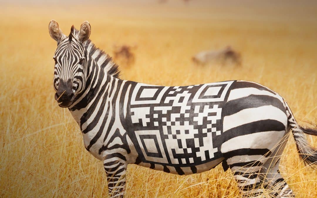 5 raisons d’adopter les codes QR dans vos imprimés